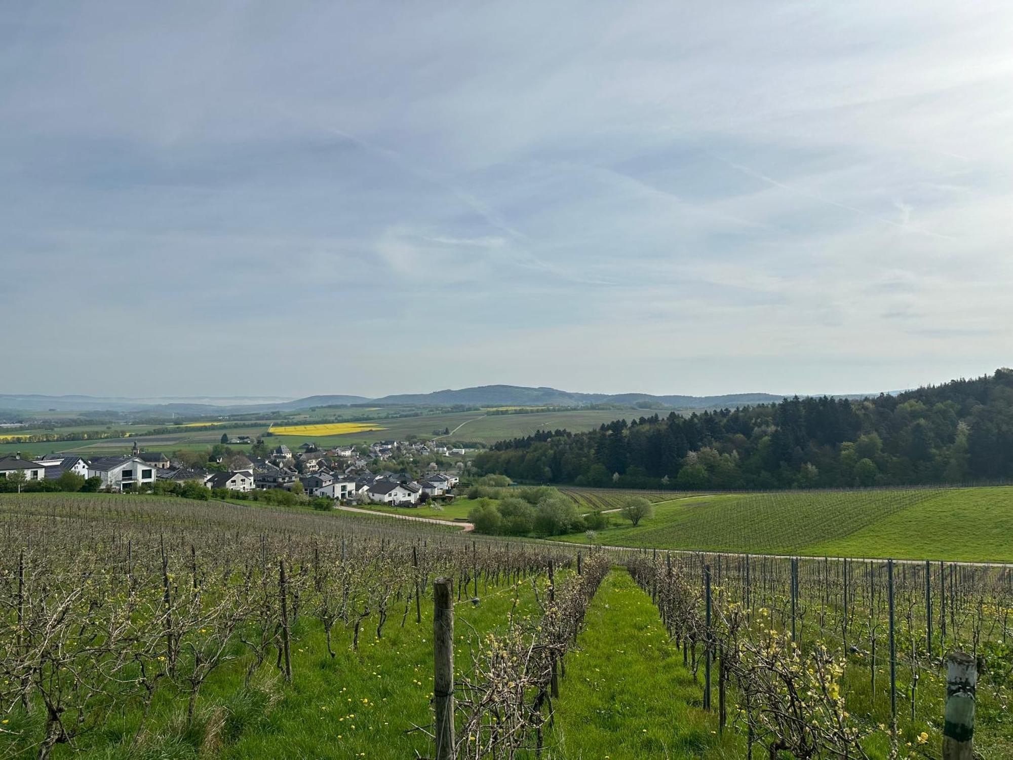 Ferienwohnung Moselherz - Urlaub Im Wein- Und Ferienort Bekond Exteriör bild