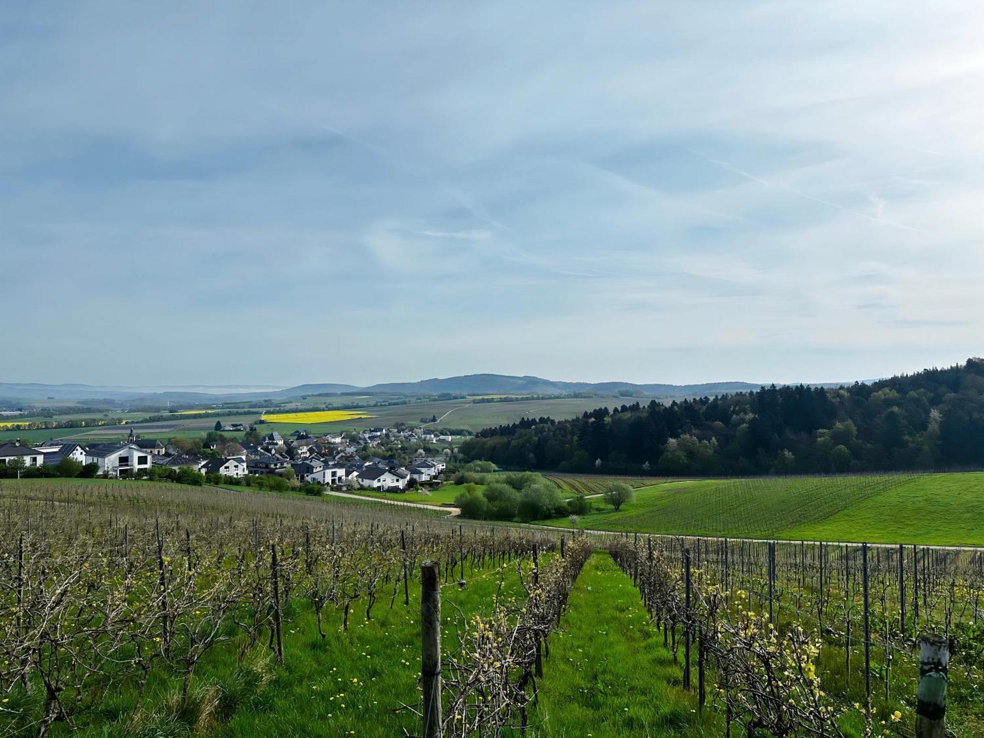 Ferienwohnung Moselherz - Urlaub Im Wein- Und Ferienort Bekond Exteriör bild